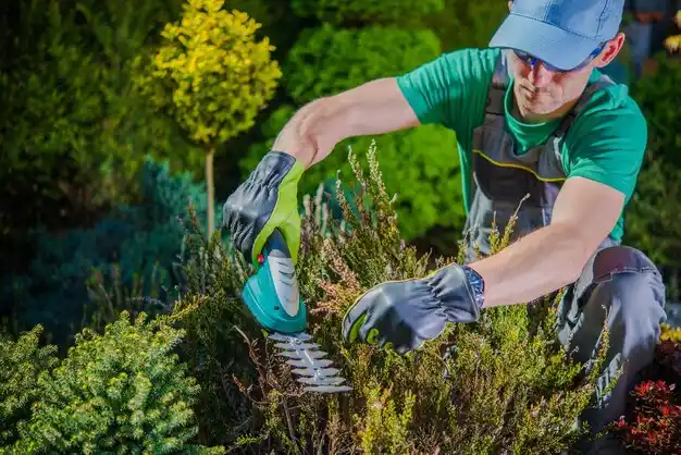landscaping services Islip Terrace